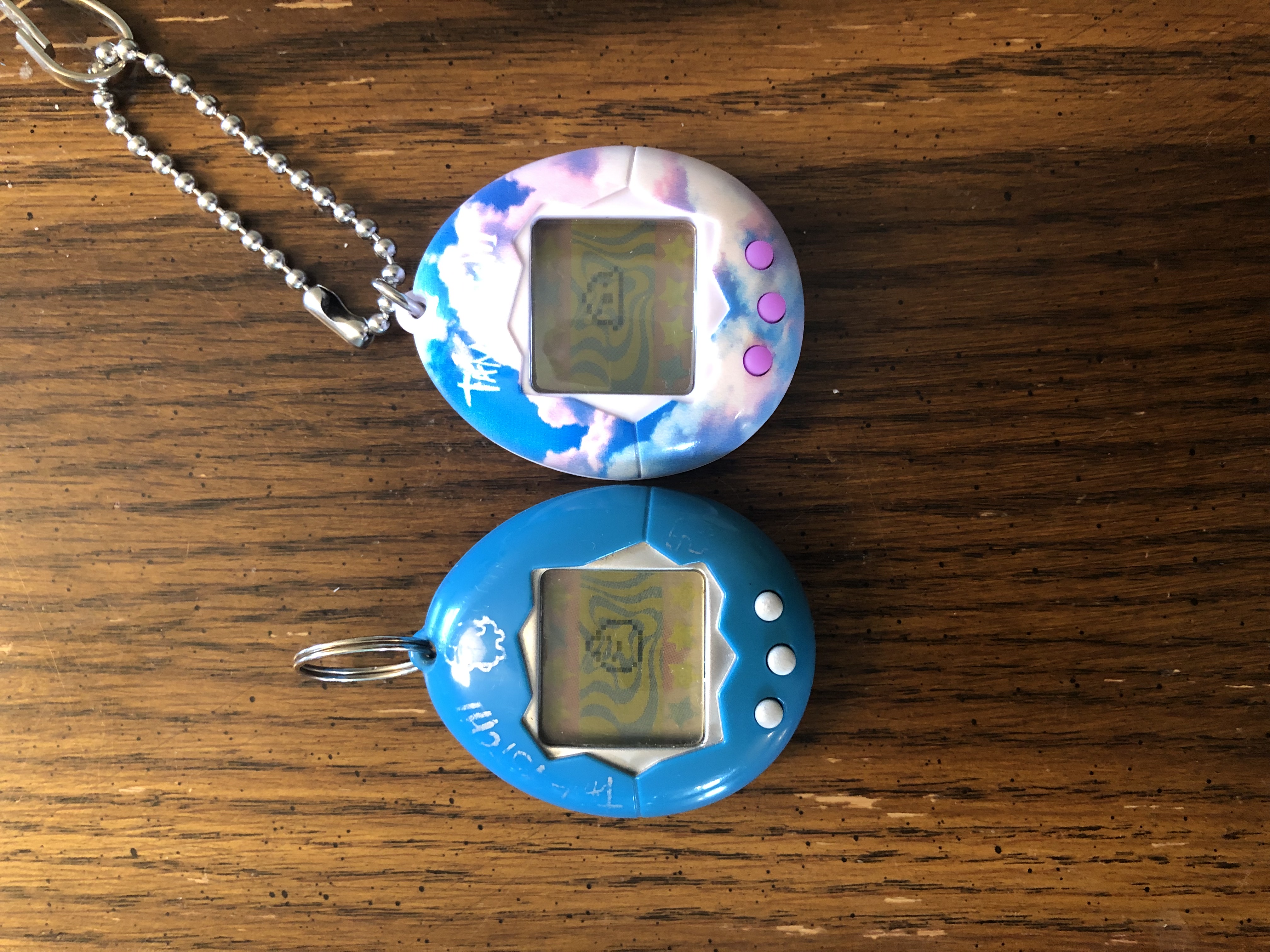 Tamagotchis Side By Side